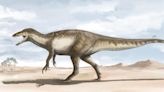 "Death shadow" fossils of largest raptor dinosaur unearthed in Argentina