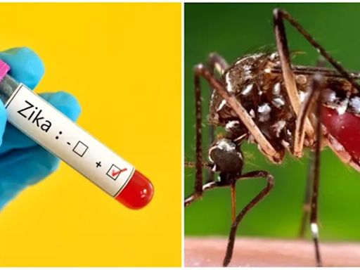 Two more pregnant women test positive for Zika virus in Pune; total cases at 15