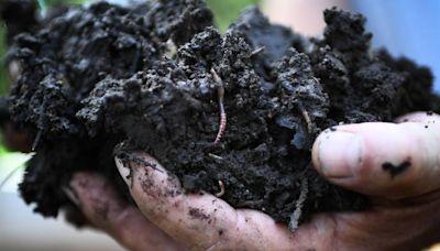 La Comisión de Medio Ambiente aprueba el documento ambiental para la creación de una granja de lombrices en Cuéllar