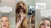 Dog groomer makes a mistake and gives the wrong dog to owner: ‘I’m so sorry to the random dog who was lowkey dognapped’