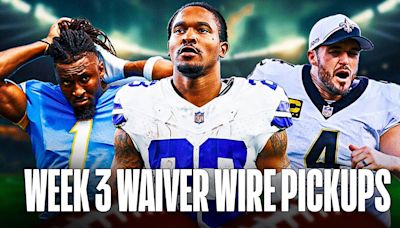 Fantasy Football: Top 10 Waiver Wire Pickups For Week 3 (2024)