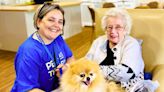 Pet therapy scheme bringing animals to patients expands across the north thanks to lottery funding