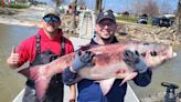 Holy Carp! 67-pound invasive fish caught in Oklahoma