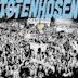 Fiesta y Ruido: Die Toten Hosen Live in Argentinien