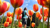 Tuesday could be the warmest day of the year so far - The Boston Globe