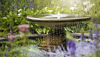 The most common garden watering questions answered