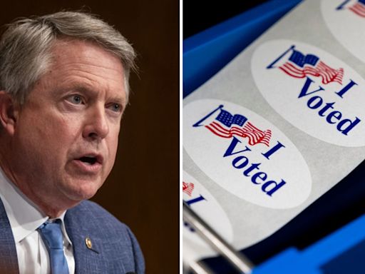 'Election interference': GOP senator launches push to shut down noncitizen voting in DC elections