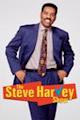 The Steve Harvey Show