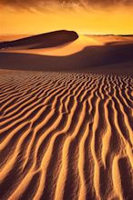 Desert sands | Deserts, Desert sand, Sand