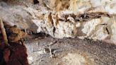 Descubren en La Garma una cabaña paleolítica construida hace 16.800 años