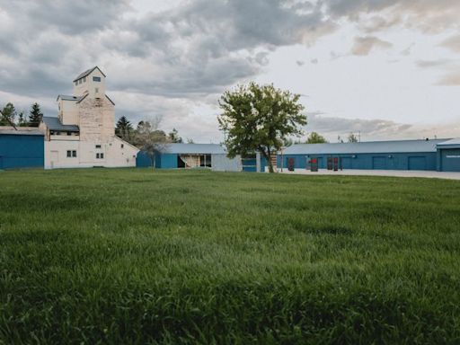 A pioneering artist once planted two acres of wheat in New York City as an act of rebellion. Now, a new field rises