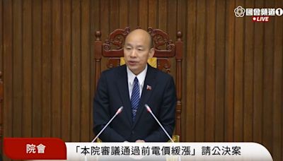 民眾黨團提電價緩漲案 立法院會藍白聯手表決通過