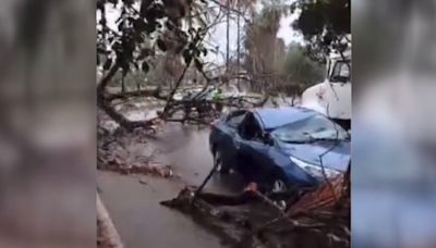 Delcy Rodríguez resulta herida, "muy golpeada", tras caerle un árbol encima por el huracán Beryl