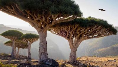 La exótica isla perdida en el Océano Índico que parece “de otro planeta”