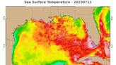 El mar frente a Florida alcanza temperatura récord. ¿Qué pasará con la vida marina?