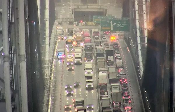 NY protests make NJ traffic trouble: GWB backed up for hours