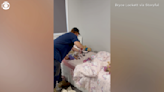 Venomous snake found hidden among girl's stuffed animals