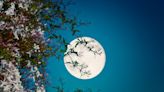 Here’s how you can see May’s full Flower Moon