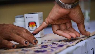Eyeing rural votes, BSP asserts itself at villages in Jalandhar