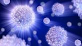 New Tools Developed To Study Communication of Immune Cells