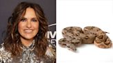 Mariska Hargitay Poses with a Boa as She Recalls Pet Snake She Had as a Kid: 'Brought Me Right Back!'