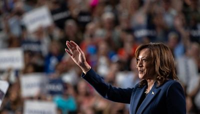 Elections 2024 live: Kamala Harris hits campaign trail with first presidential rally in swing state Wisconsin