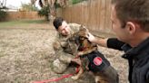 Sergeant reunites with military dog retiring from active duty. Watch the emotional moment