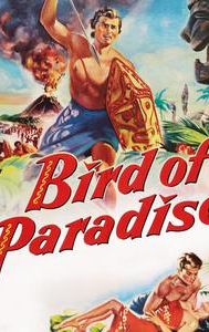 Bird of Paradise (1951 film)