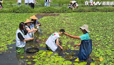 守護自然生態 信義房屋志工助高雄水雉家園