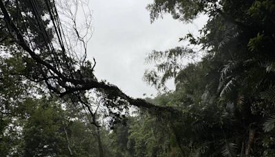 強颱凱米釀停電 竹縣山區逾3萬戶一度停電