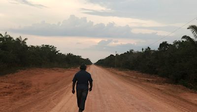 Corte brasileña frena pavimentación de carreteras en la selva aduciendo cambio climático
