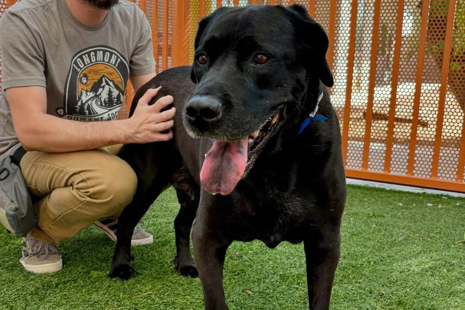 Nevada Rescue Dog Looking for a Home Again After Family Returned Pet for Being 'Too Boring'