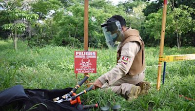 Desminado humanitario en Colombia, un trabajo en el que un error puede ser el último