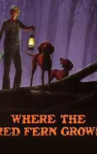 Where the Red Fern Grows (1974 film)