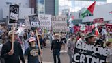 Pro-Palestinian demonstrators rally at DFL convention