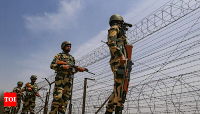 BSF officer and jawan die due to extreme heat while patrolling India-Pak border | India News - Times of India