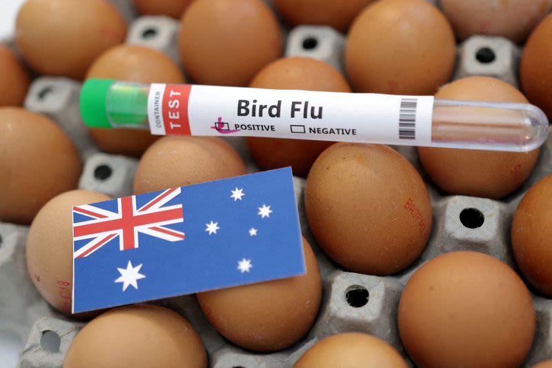 Bird flu hits McDonald's breakfasts in Australia