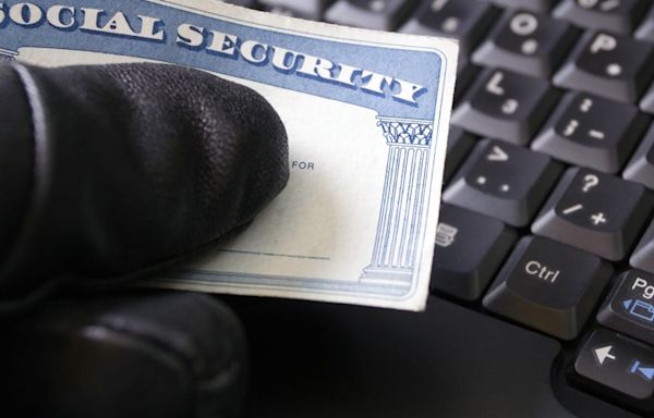 Was Your Social Security Number Stolen in the National Public Data Hack? What You Can Do