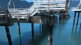 Sunken boat with holes abandoned in BC Park sparks environmental concerns