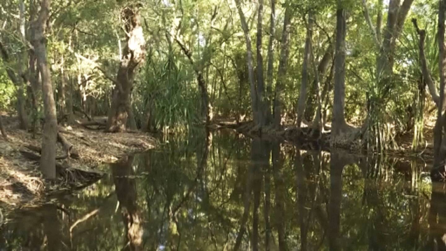 Rangers shot dead a 14-foot crocodile after it killed a girl swimming in an Australian creek