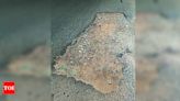 Report potholes on BBMP’s new app | Bengaluru News - Times of India