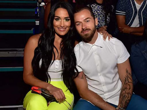 Artem Chigvintsev Cleared of Domestic Violence Charges Amid Divorce from Nikki Bella | WWE News - Times of India