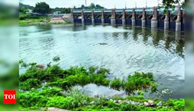 Water level in Mettur dam reaches 103ft milestone | Coimbatore News - Times of India