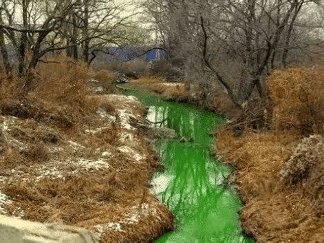 VIDEO: Río en Rusia se tiñe de color verde y desata preocupación por posible toxicidad