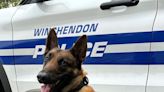 Meet K-9 Officer Blitz - newest addition to Winchendon Police