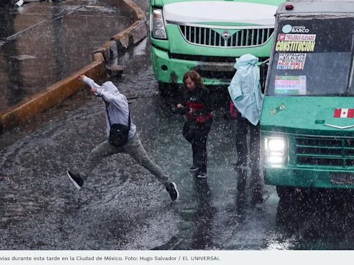 Fuertes lluvias dejan árboles caídos y encharcamientos en la CDMX