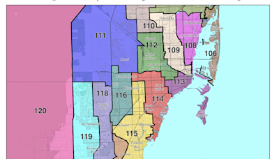 New racial gerrymandering lawsuit takes aim at South Florida's powerful congressional districts