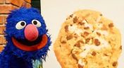 14. Painting With Cookie Monster