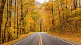 This App Will Help You Find Accessible Fall Foliage Adventures in National Parks across the U.S.