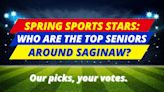 Spring sports stars: Who are the top seniors around Saginaw? Our picks, your votes